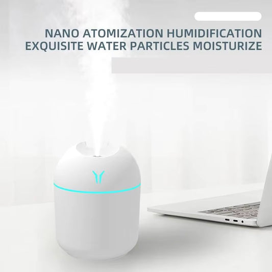Portable humidifier