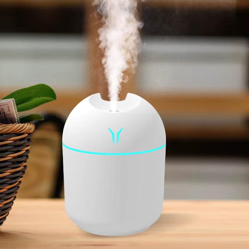 Portable humidifier