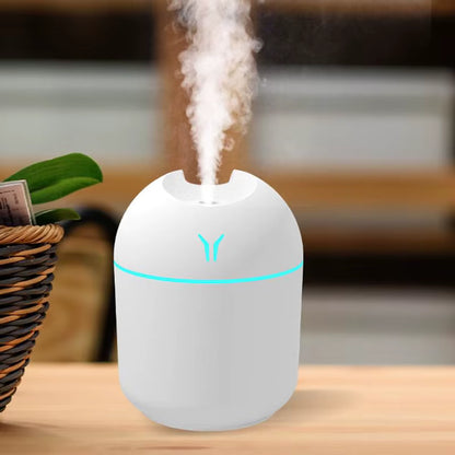 Portable humidifier