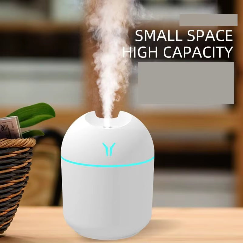 Portable humidifier