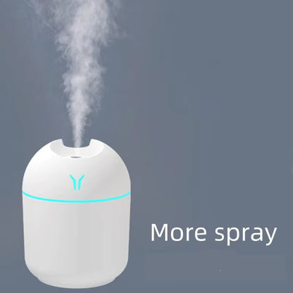 Portable humidifier