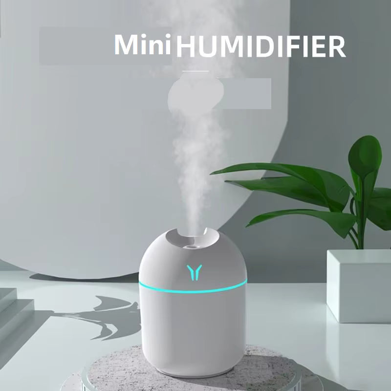Portable humidifier