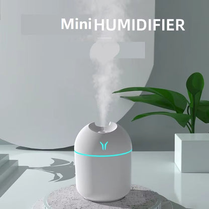 Portable humidifier